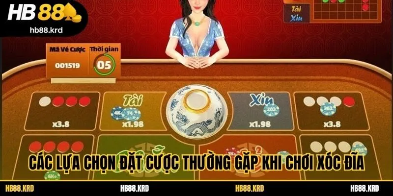 Các lựa chọn đặt cược thường gặp khi chơi xóc đĩa