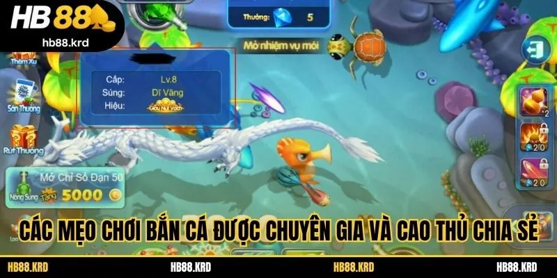 Các mẹo chơi bắn cá được chuyên gia và cao thủ chia sẻ