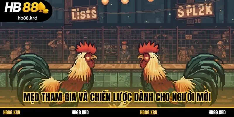 Mẹo tham gia và chiến lược dành cho người mới