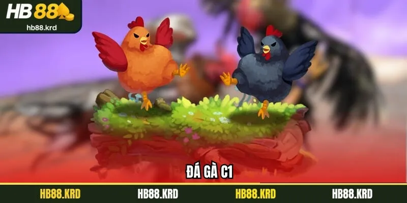 Đá Gà C1 - Trải Nghiệm Trận Chọi Kê Kịch Tính, Hấp Dẫn HB88