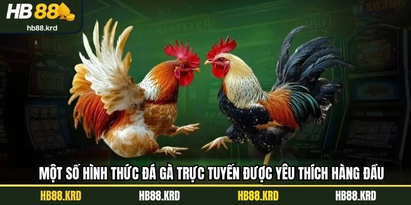 Một số hình thức đá gà online được yêu thích hàng đầu